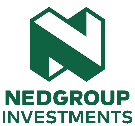 nedgroup investments 